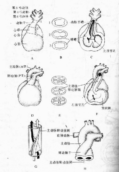 文件:Guqmewmd.jpg