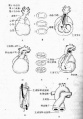 2014年1月19日 (日) 04:33的版本的缩略图