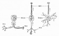 Gkrw9a85.jpg