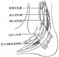 2014年1月19日 (日) 04:57的版本的缩略图