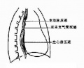 Guwfc3p9.jpg