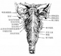 2014年1月17日 (五) 09:05的版本的缩略图