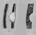 Guwfc8l9.jpg