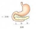 2014年1月19日 (日) 04:34的版本的缩略图