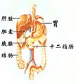 Bka32.jpg