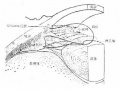 2014年1月18日 (六) 14:50的版本的缩略图