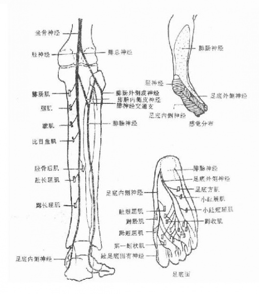 文件:Glxqa08i.jpg