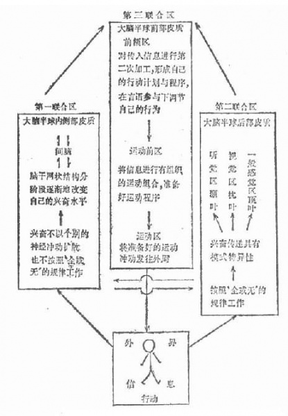 文件:Gu13y5ud.jpg