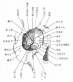 Gv6dpu2q.jpg