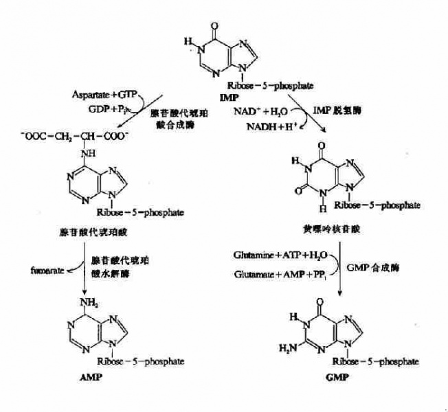 文件:Gra7adll.jpg