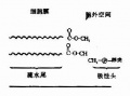 2014年1月18日 (六) 18:41的版本的缩略图