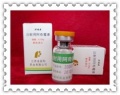 2014年1月19日 (日) 05:27的版本的缩略图