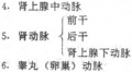 2014年1月18日 (六) 16:26的版本的缩略图