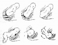 2014年1月18日 (六) 15:38的版本的缩略图