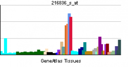 PBB GE ERBB2 216836 s at.png