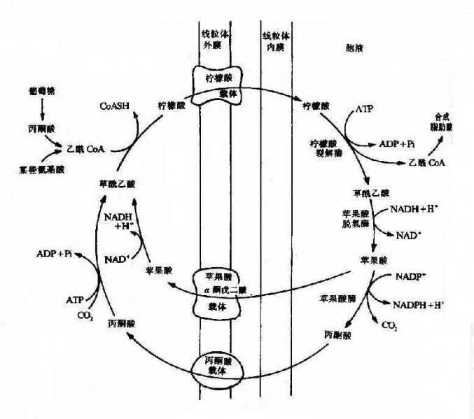 文件:Gra3qx9r.jpg