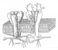 Gmpzb08l.jpg