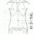 2014年1月18日 (六) 21:39的版本的缩略图