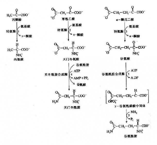 文件:Gra77eeu.jpg