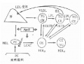 2014年1月18日 (六) 15:54的版本的缩略图