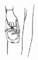 Glwbfviz.jpg