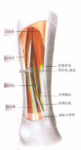 文件:Glxqe0bj.jpg