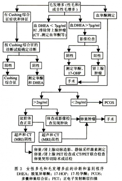 文件:Gxpsnm8f.jpg