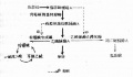2014年1月19日 (日) 04:55的版本的缩略图
