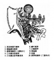 2014年1月19日 (日) 04:24的版本的缩略图