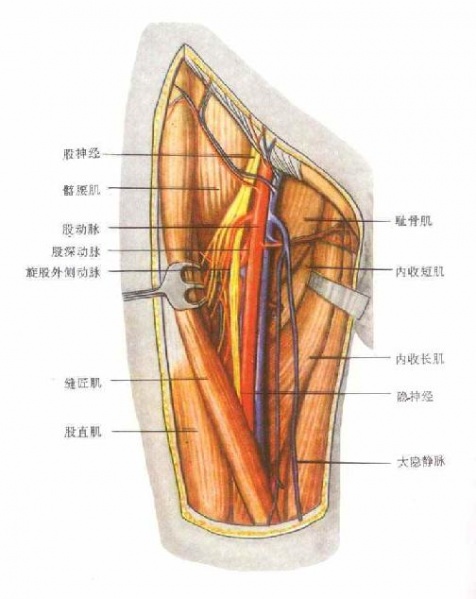 文件:Glxqe3u7.jpg