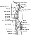 2014年1月17日 (五) 11:20的版本的缩略图