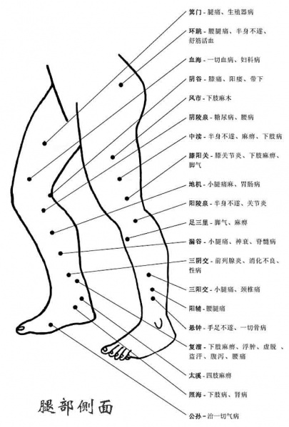 文件:X xiazhi.jpg