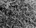 Gj6yde6r.jpg