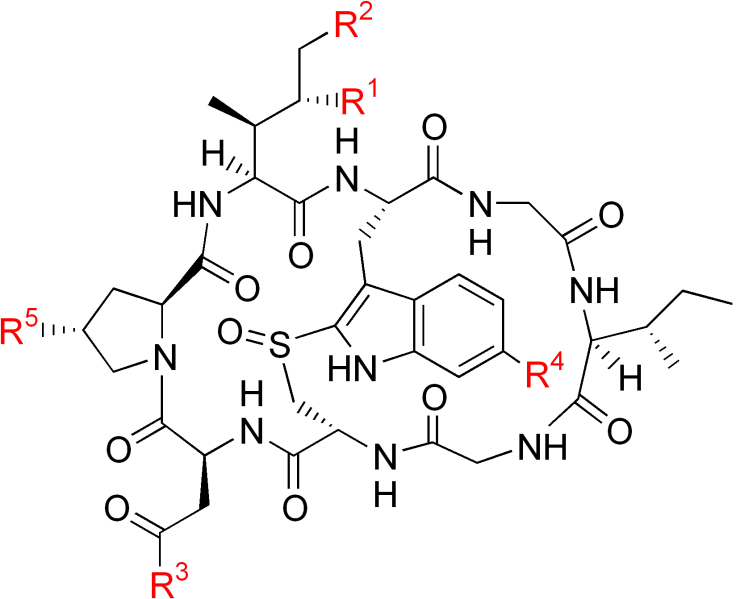 文件:Amatoxins generic strucuture.png