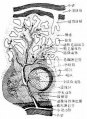 2014年1月19日 (日) 03:49的版本的缩略图