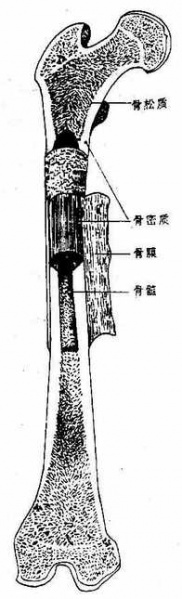 文件:Glxbvu6t.jpg
