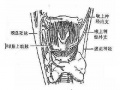 2014年1月19日 (日) 05:17的版本的缩略图
