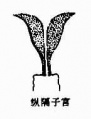 Guwgh378.jpg