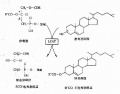 2014年1月19日 (日) 05:34的版本的缩略图