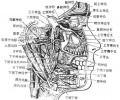 2014年1月17日 (五) 11:33的版本的缩略图