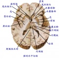 2014年1月17日 (五) 10:49的版本的缩略图