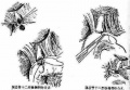 2014年1月18日 (六) 16:38的版本的缩略图