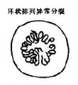 2014年1月17日 (五) 11:21的版本的缩略图