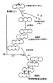 2014年1月19日 (日) 04:28的版本的缩略图