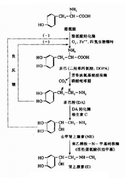 文件:Grabzsd6.jpg