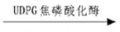 2014年1月18日 (六) 15:58的版本的缩略图
