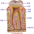 2014年1月18日 (六) 14:24的版本的缩略图