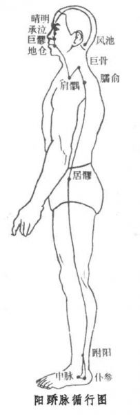 文件:阳跷脉循行图.jpg