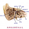 2014年1月18日 (六) 15:18的版本的缩略图