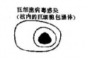 2014年1月17日 (五) 11:09的版本的缩略图